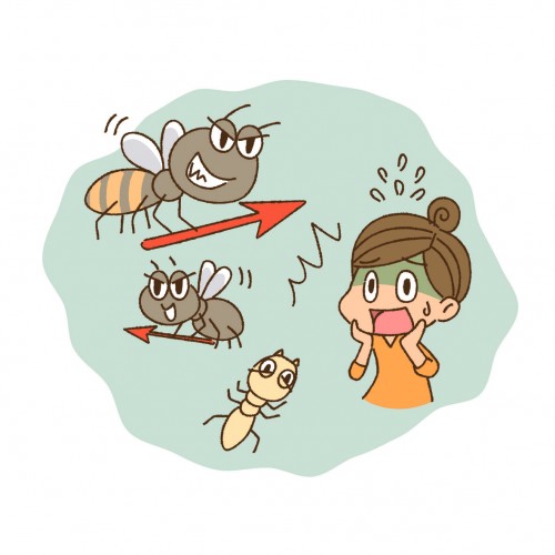 住まいのシロアリ被害